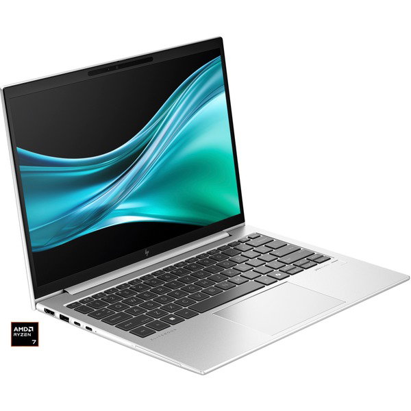 HP EliteBook 835 G11 (A26QGEA), Notebook - silver, AMD Ryzen 7 8840U, AMD Radeon 780M, 16 GB LPDDR5, 512 GB (512 GB SSD), Windows 11 Pro
