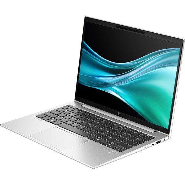 HP EliteBook 835 G11 (A26QGEA), Notebook - silver, AMD Ryzen 7 8840U, AMD Radeon 780M, 16 GB LPDDR5, 512 GB (512 GB SSD), Windows 11 Pro