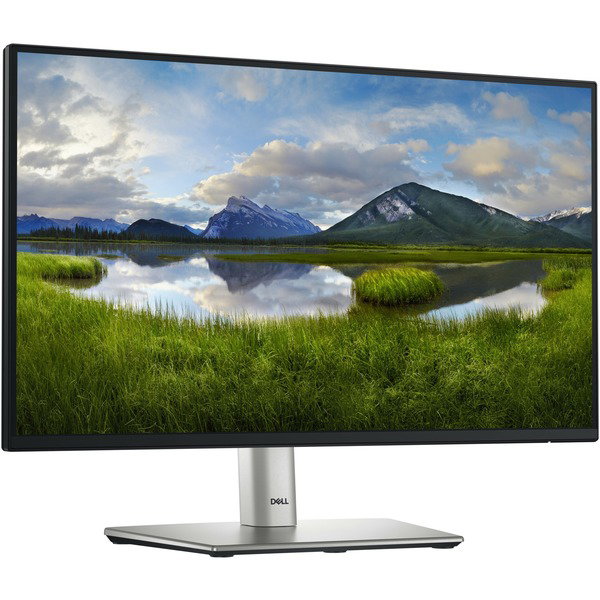 Dell P2225H, LED-Monitor - 54.6 cm (21.5 inches), black/silver, FullHD, IPS, USB-C, 100Hz Panel