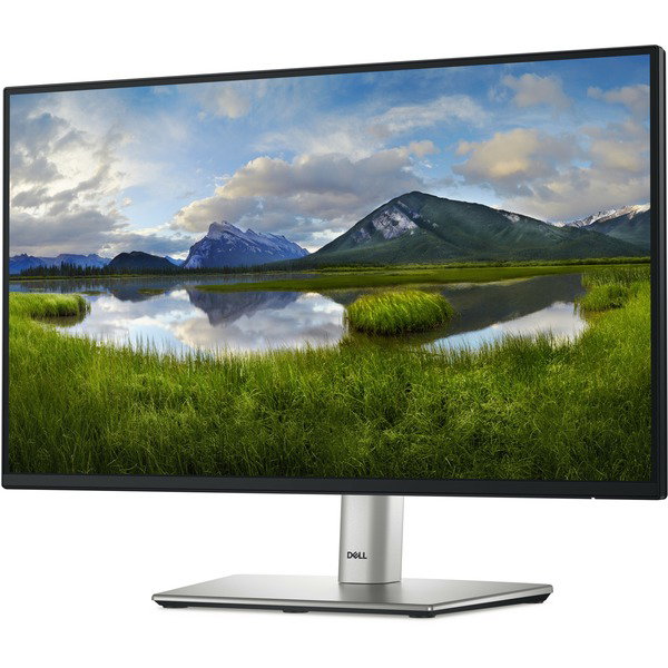 Dell P2225H, LED-Monitor - 54.6 cm (21.5 inches), black/silver, FullHD, IPS, USB-C, 100Hz Panel