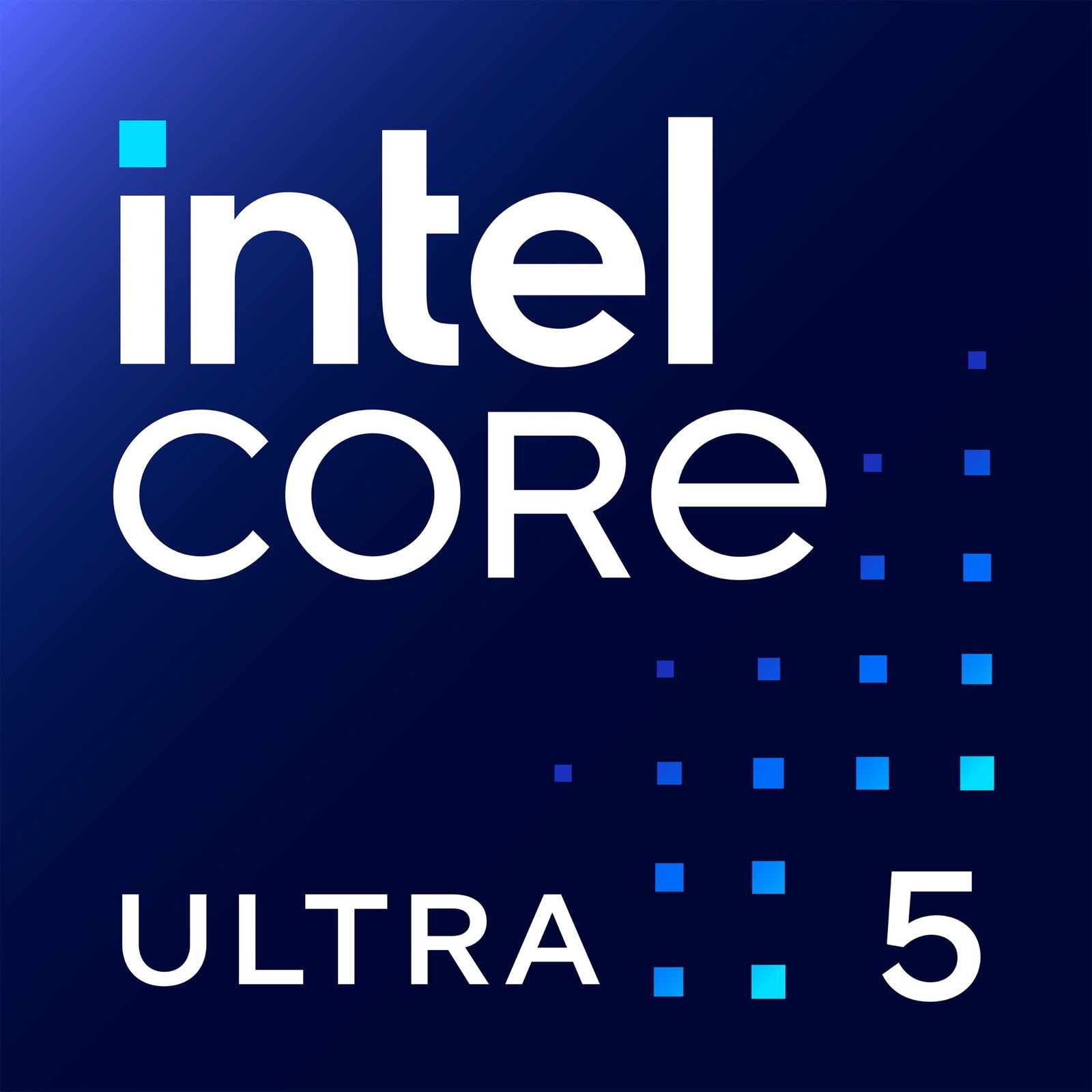 Intel Core Ultra 5 225, processor - Tray-Version
