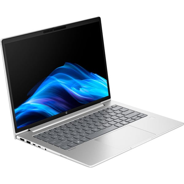 HP ProBook 4 G1a (C07P1ES), Notebook - silver, AMD Ryzen 5 230, AMD Radeon 760M, 16 GB DDR5, 512 GB (512 GB SSD), without operating system