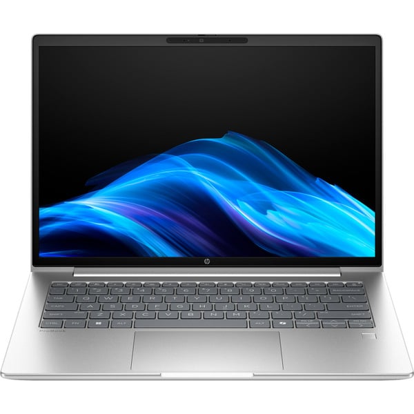 HP ProBook 4 G1a (C07P1ES), Notebook - silver, AMD Ryzen 5 230, AMD Radeon 760M, 16 GB DDR5, 512 GB (512 GB SSD), without operating system