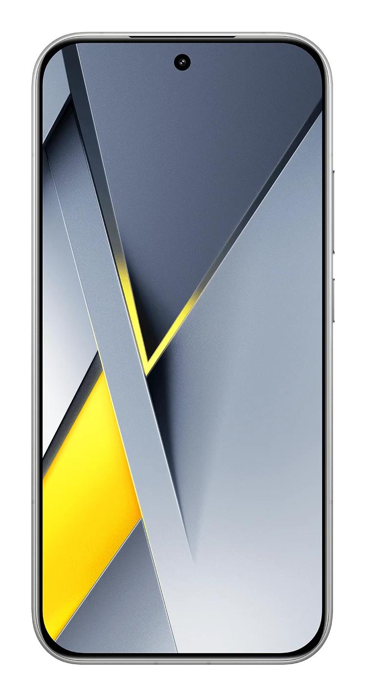 MOBILE PHONE POCO F8 PRO/12/256GB SILVER MZB0M60EU POCO
