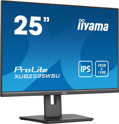 XUB2595WSU-B5 25IN ETE IPS-PANE - 300CD/M2 VGA HDMI DISPLAYPORT 4M