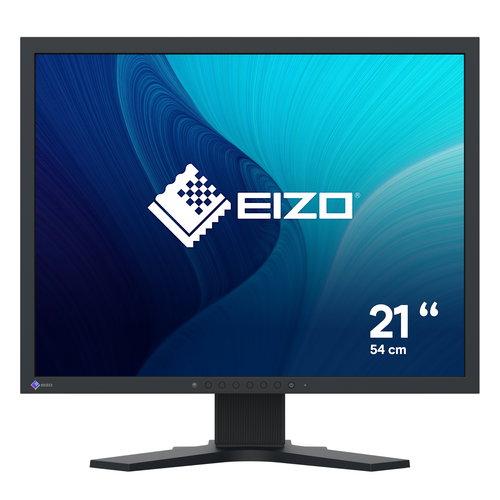 21IN 4:3 1600X1200 500 CD/SQM - 178/178 IPS LCD DISPLAY PORT DVI
