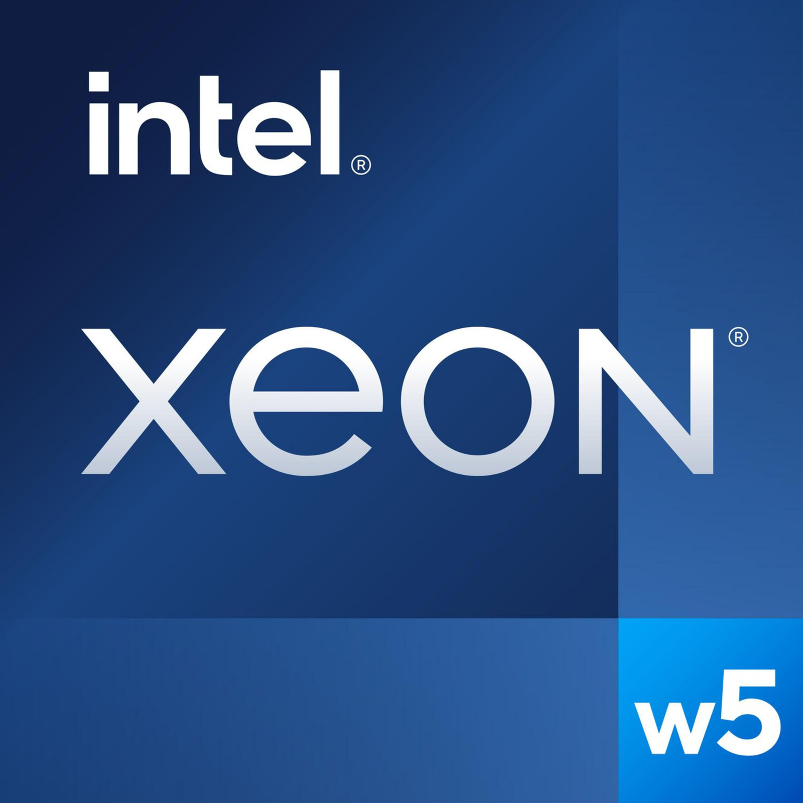 Intel Xeon W W5-2455X 3.2 GHz 12 Cores 24 Threads 30 MB Cache Memory FCLGA4677 Socket OEM