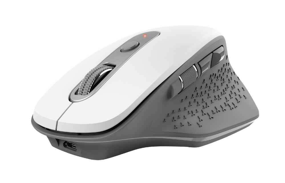 Trust Ozaa mouse Office Right-hand RF Wireless Optical 2400 DPI
