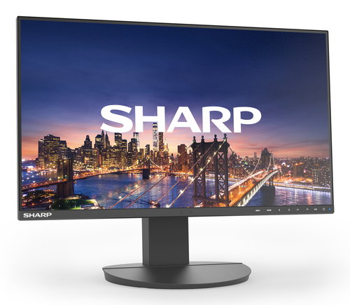 Sharp MultiSync EA242F computer monitor 61 cm (24
