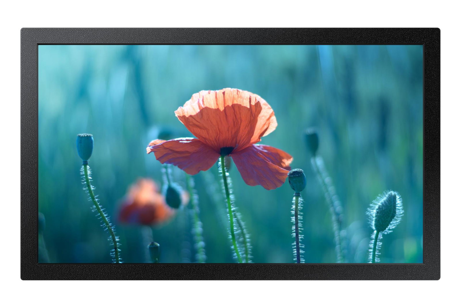 Samsung QB13C 33 cm (13