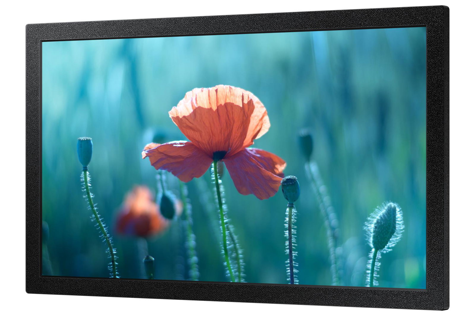 Samsung QB13C 33 cm (13
