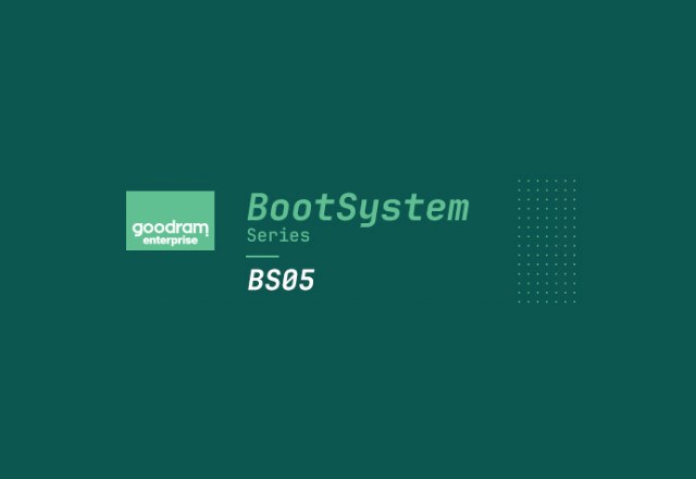 Goodram BS05M 960GB SATA 2.5 GEBS05SA00-960NS10B (DWPD up to 1) SSD Disc