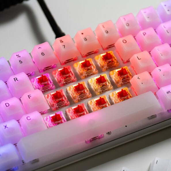 Glorious Fox Heavy Switches, mechanisch, 5-Pin, linear, MX-Stem, 55g - lubed, 110 Stck