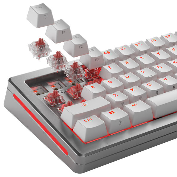 Glorious Fox Ultralight Switches, mechanisch, 5-Pin, linear, MX-Stem, 30g - lubed, 110 Stck