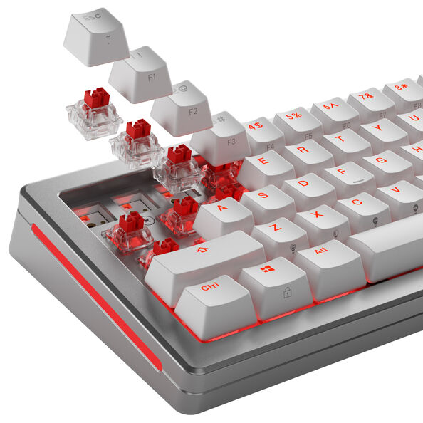 Glorious Fox HE Standard Switches, Hall-Effekt, linear, MX-Stem, 45g - lubed, 36 Stck