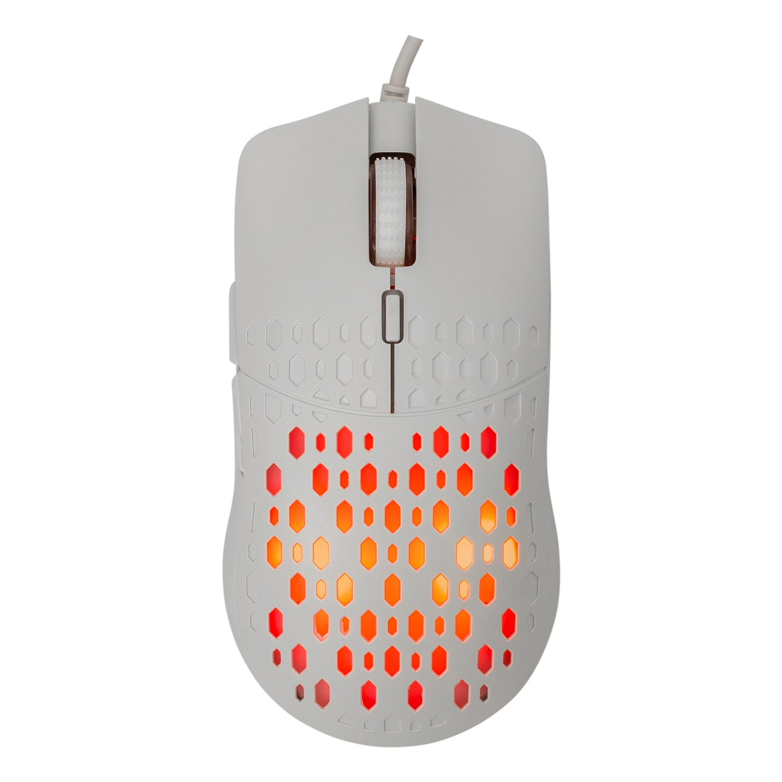 Baracuda OCTOPUS BGM-022, White