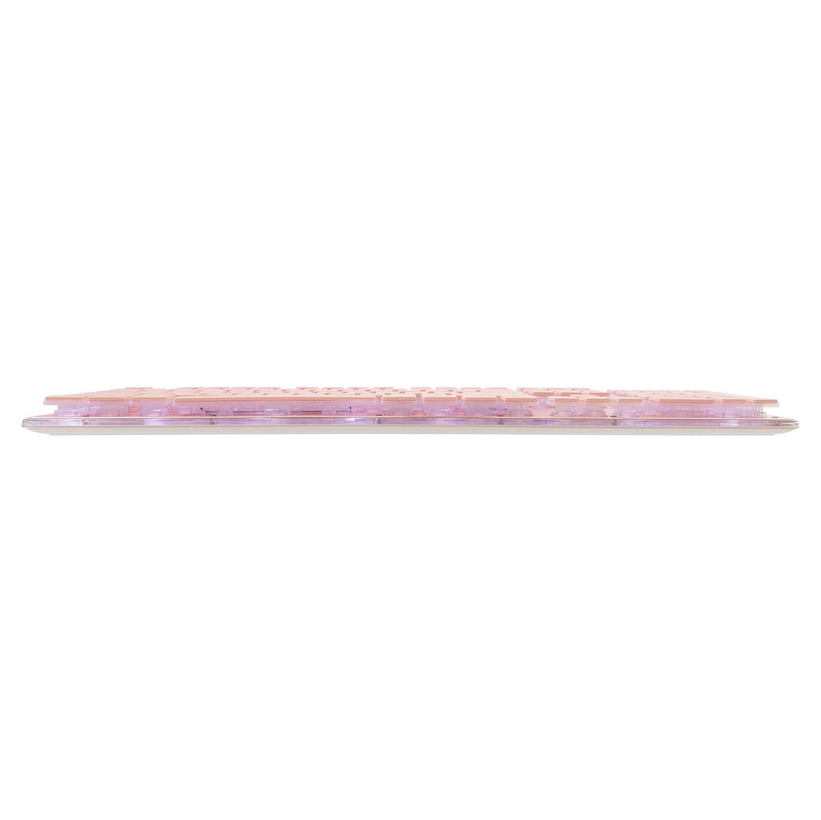White Shark TACHI-P-US GK-003441 Pink US