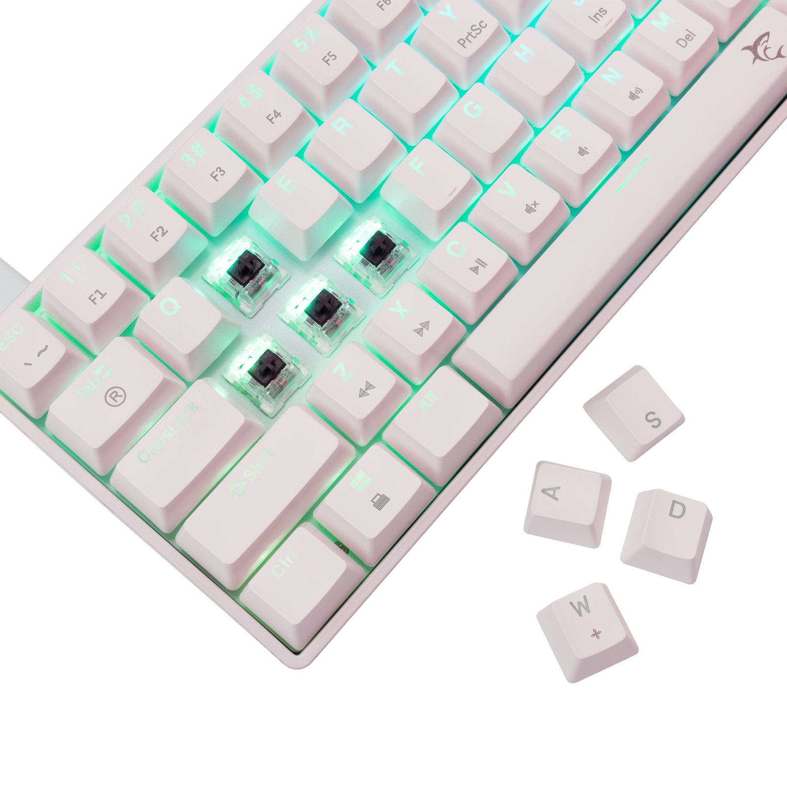 White Shark GK-004231 Shinobi 2 Brown Switch, White US