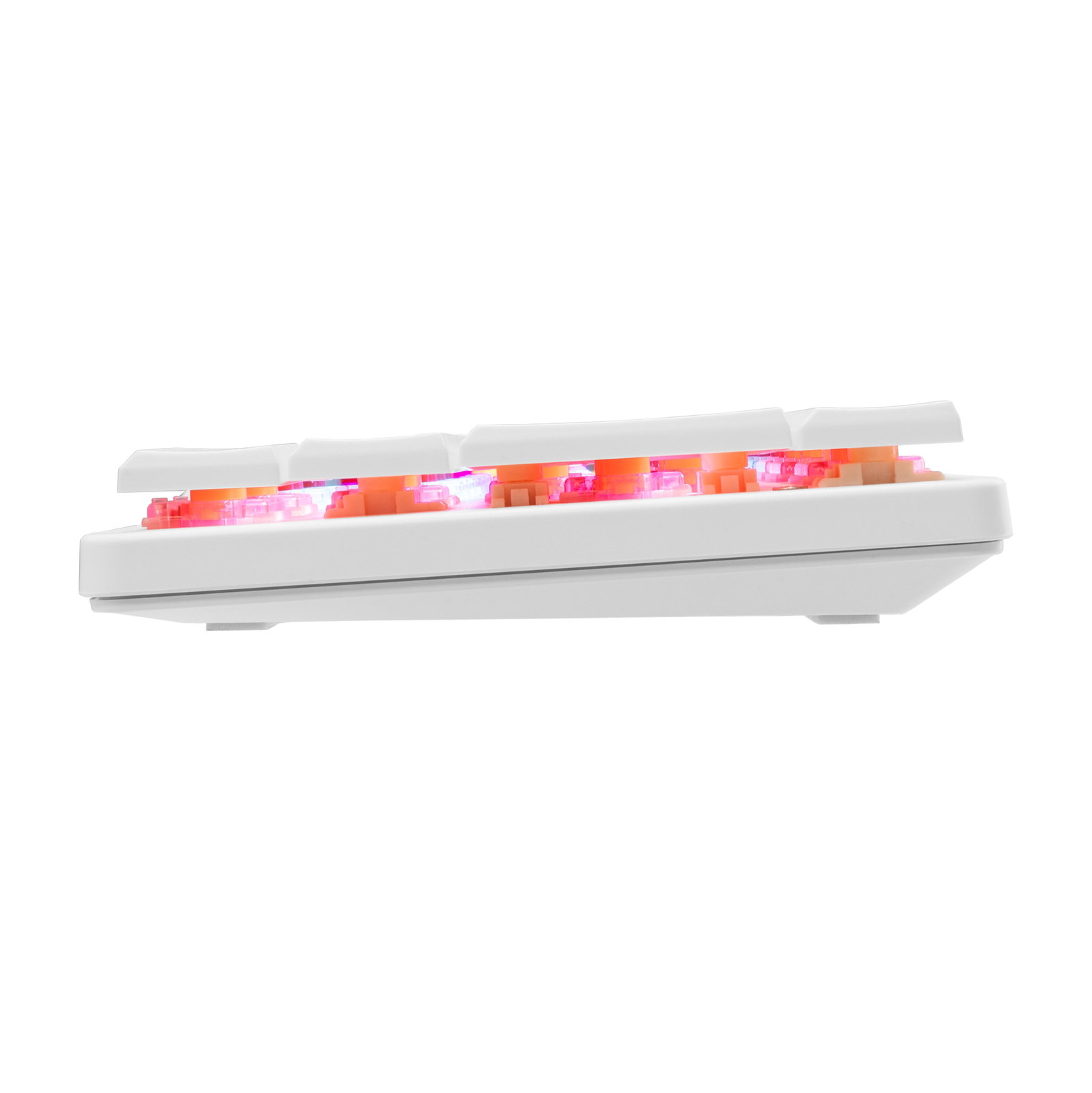 White Shark GK-006211 Nagamaki White-Mechanical-Red.SW