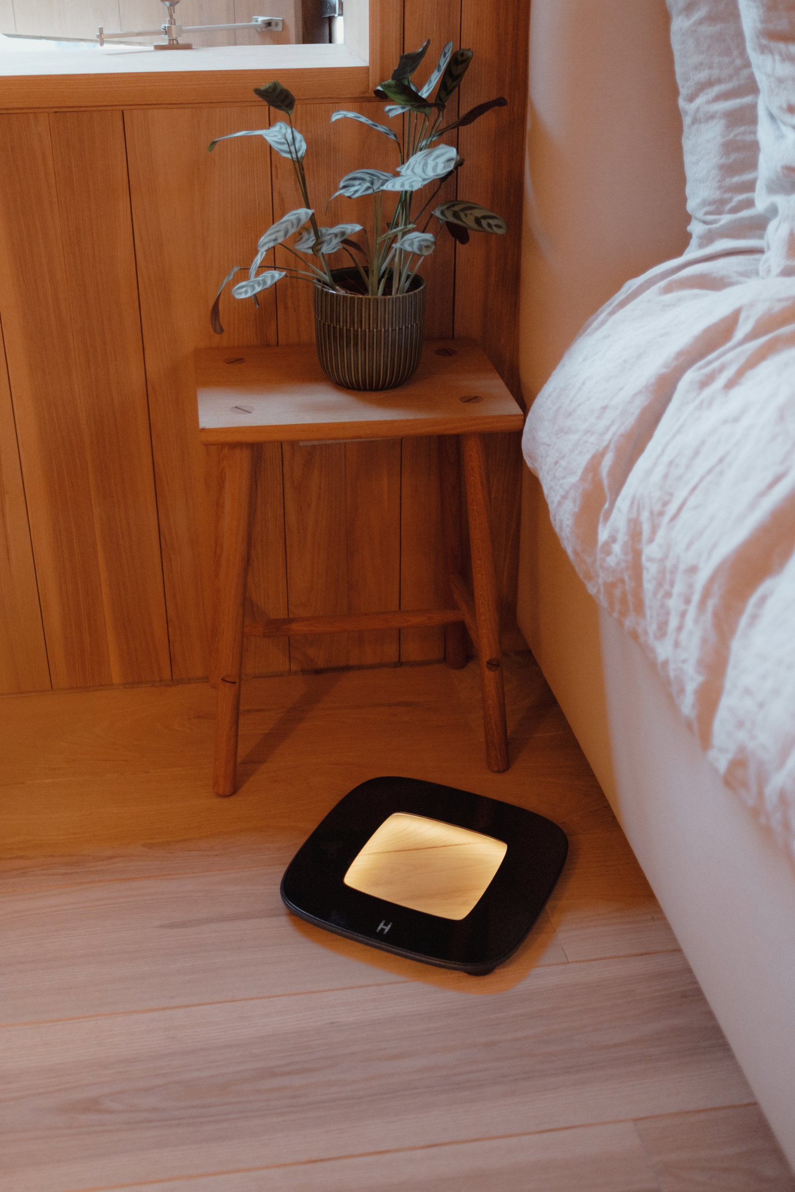 Homedics SCL-B100-BK glo Digital Scale