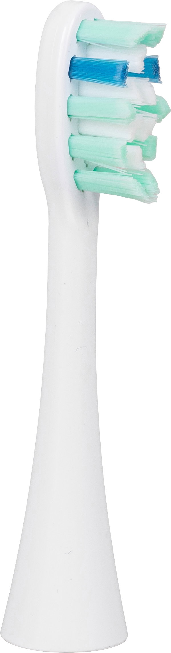 Zelmer ZTB6010W