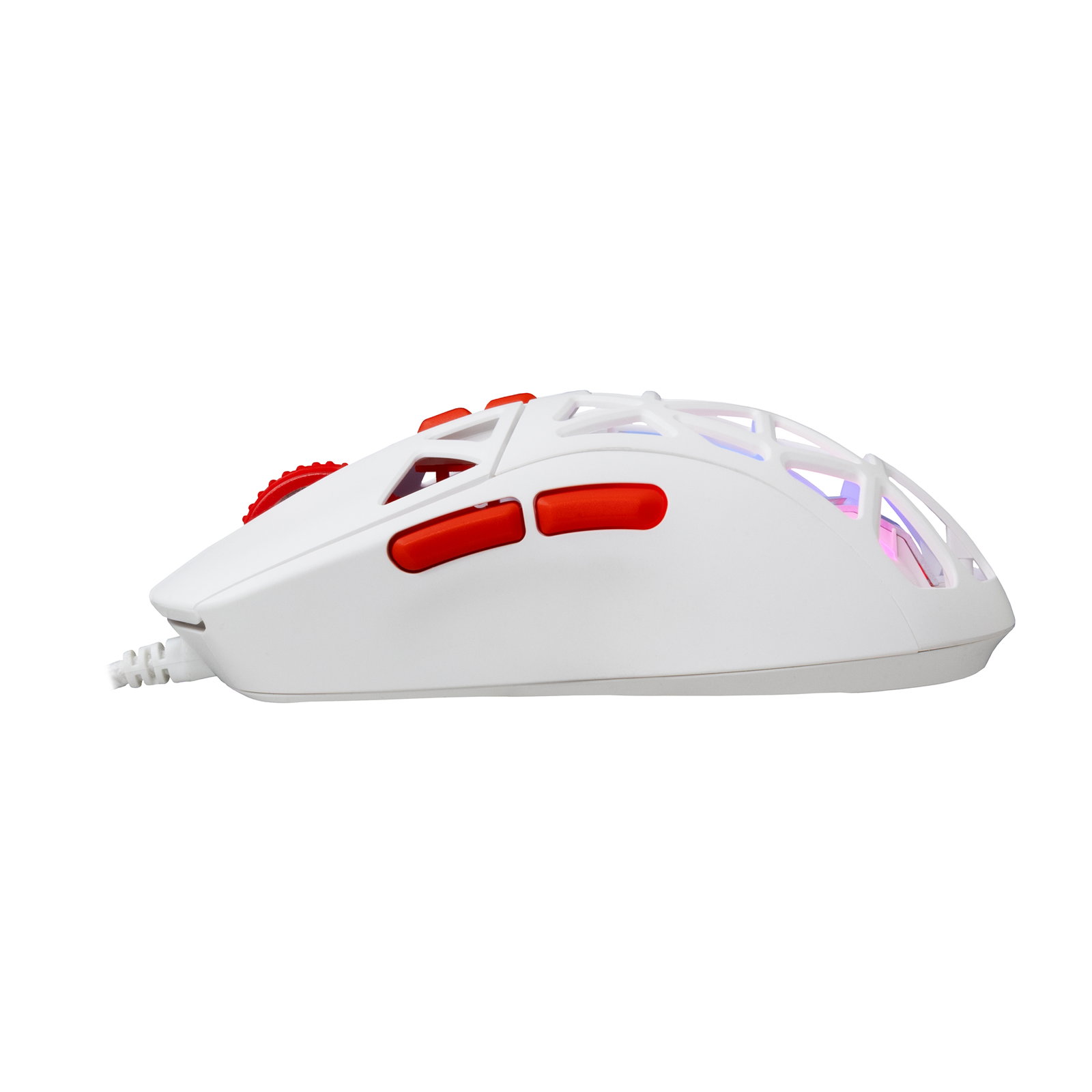 Baracuda SEAL-W BGM-092, White