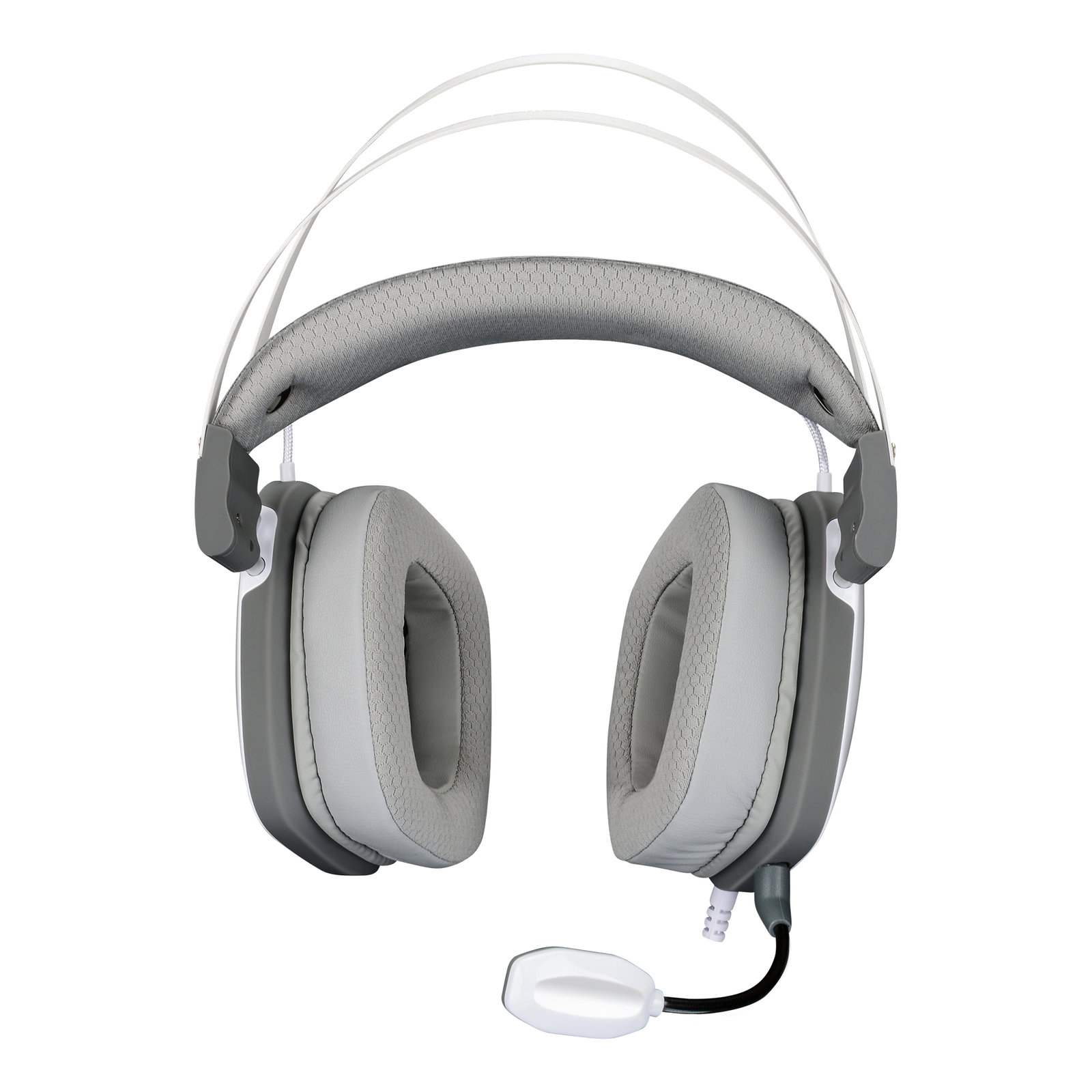 White Shark GH-2446 Gottan White