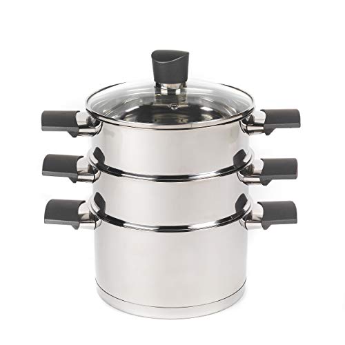 Russell Hobbs RH011701EU7 Excellence Steamer