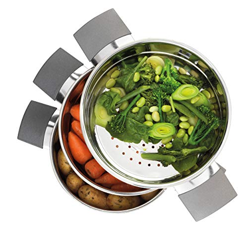 Russell Hobbs RH011701EU7 Excellence Steamer