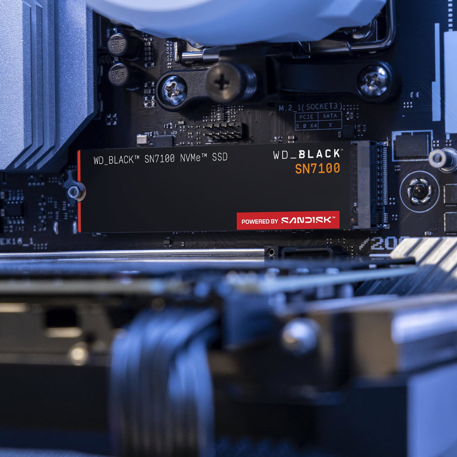SSD SANDISK Read speed 7250 MB/s Write speed 6900 MB/s NVMe Yes PCI Express 4.0 M.2 1000 GB POWERED BY SANDISK Black SN7100 WDS100T4X0E