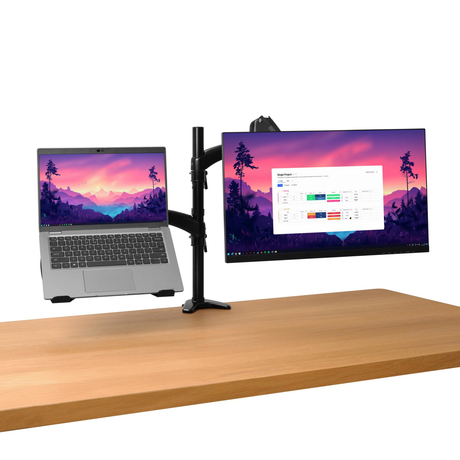 MONITOR ACC ARM DUAL/MARA 25337 TRUST