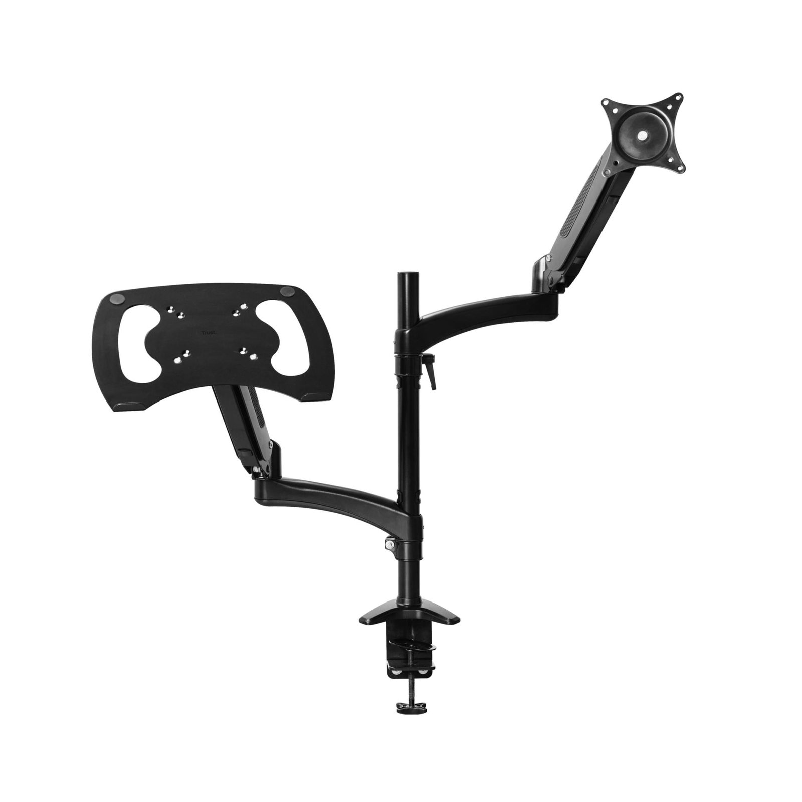 MONITOR ACC ARM DUAL/MARA 25337 TRUST