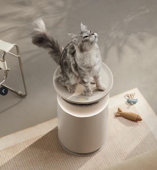 AIR PURIFIER ACC PET TOP PERCH/DVS1 DREAME