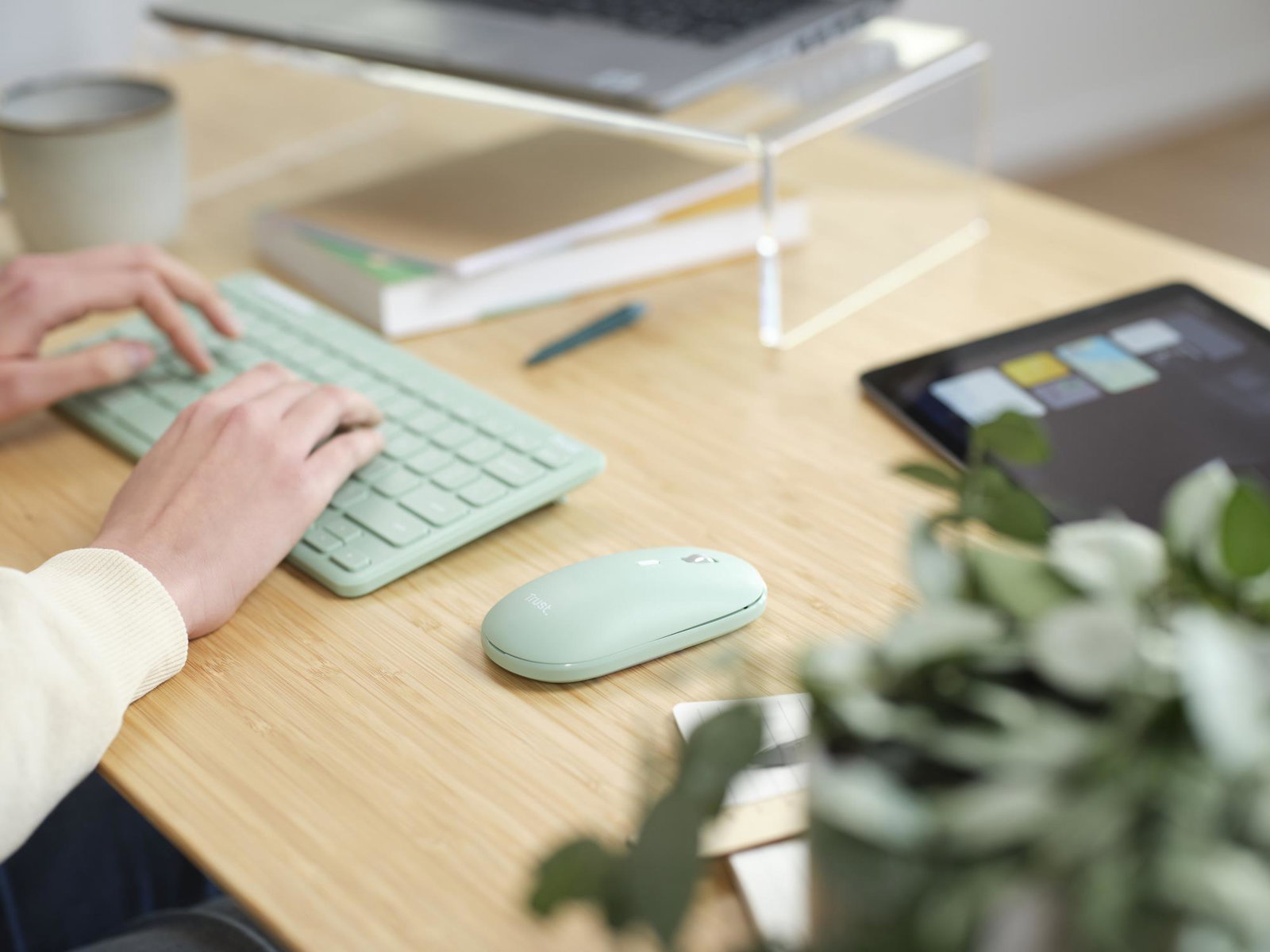 KEYBOARD +MOUSE WRL LYRA/GREEN 24942 TRUST
