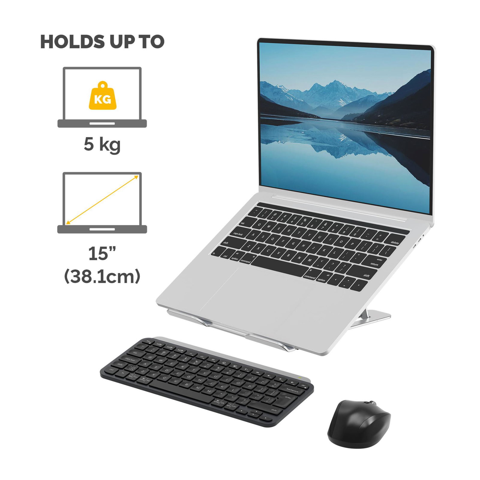NB ACC STAND PORTABLE/SILVER 100138867 FELLOWES