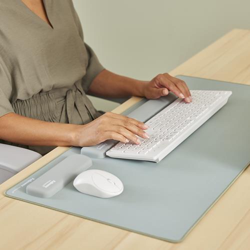 KEYBOARD ACC WRIST RESTS/SAGE 100142578 FELLOWES