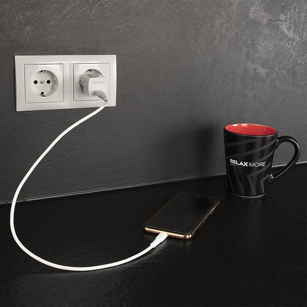 CHARGER WALL 20W/73410 LINDY