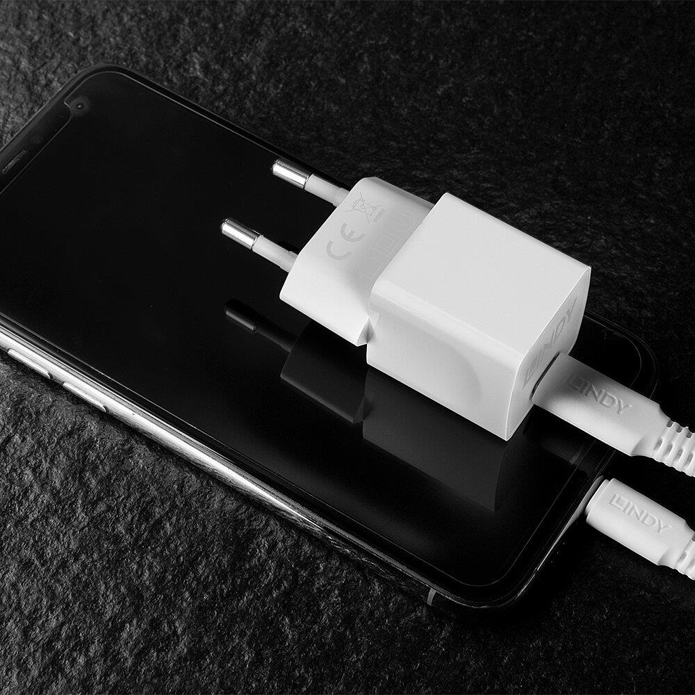 CHARGER WALL 20W/73410 LINDY