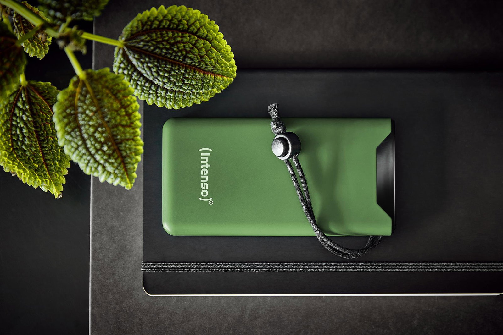 POWER BANK USB 10000MAH QC3.0/GREEN 7332037 INTENSO