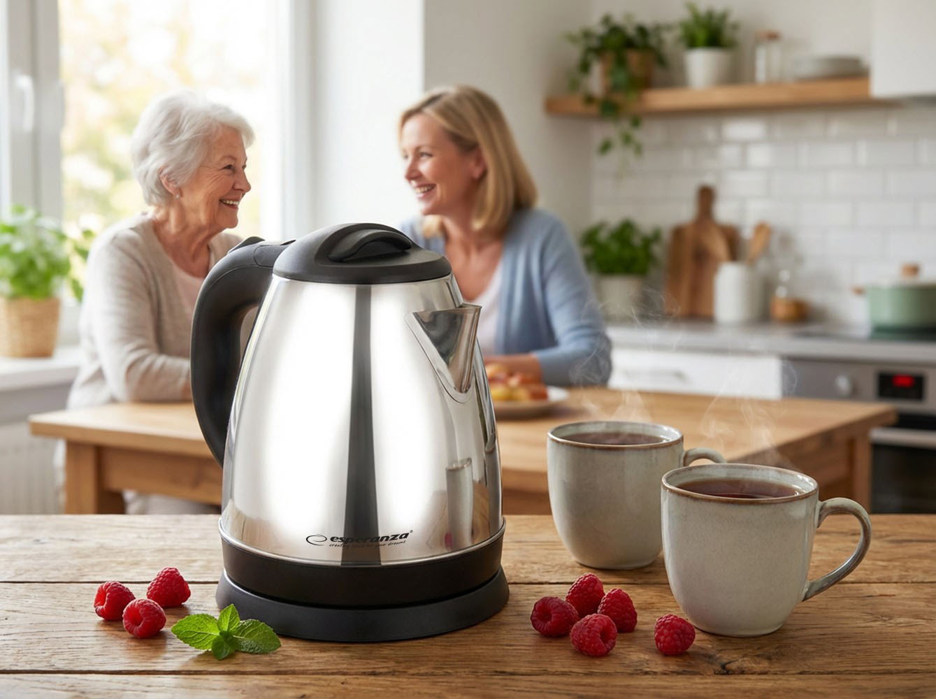 Esperanza EKK116S Electric kettle 1 L 1350 W Silver
