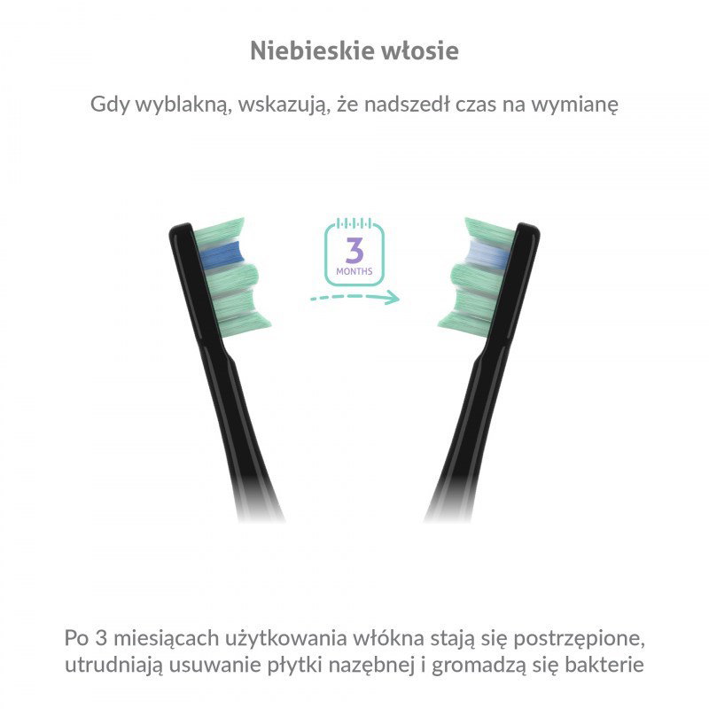 TrueLife SonicBrush Clean30 Black Adult Oscillating toothbrush