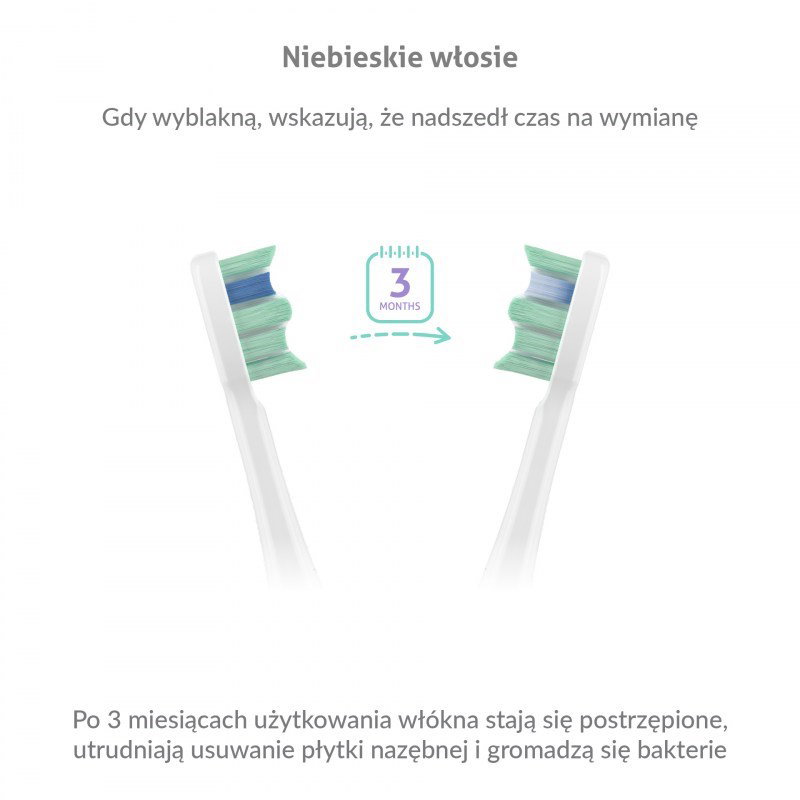 TrueLife SonicBrush Clean30 Duo Sonic Toothbrush