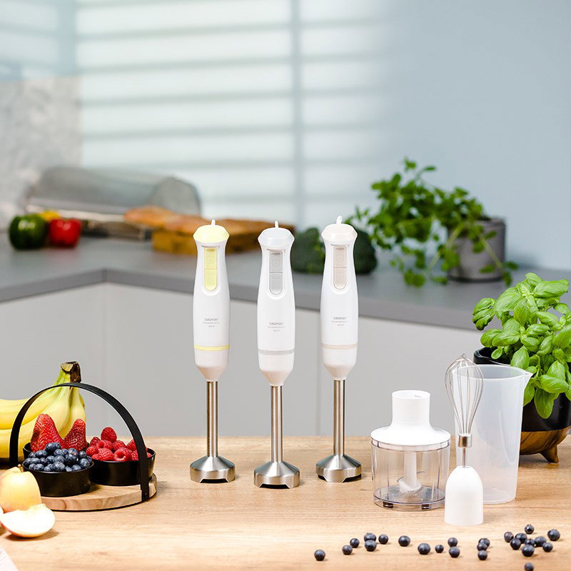 Zelmer ZHB4562L Immersion blender Pulsar 800 W Lime