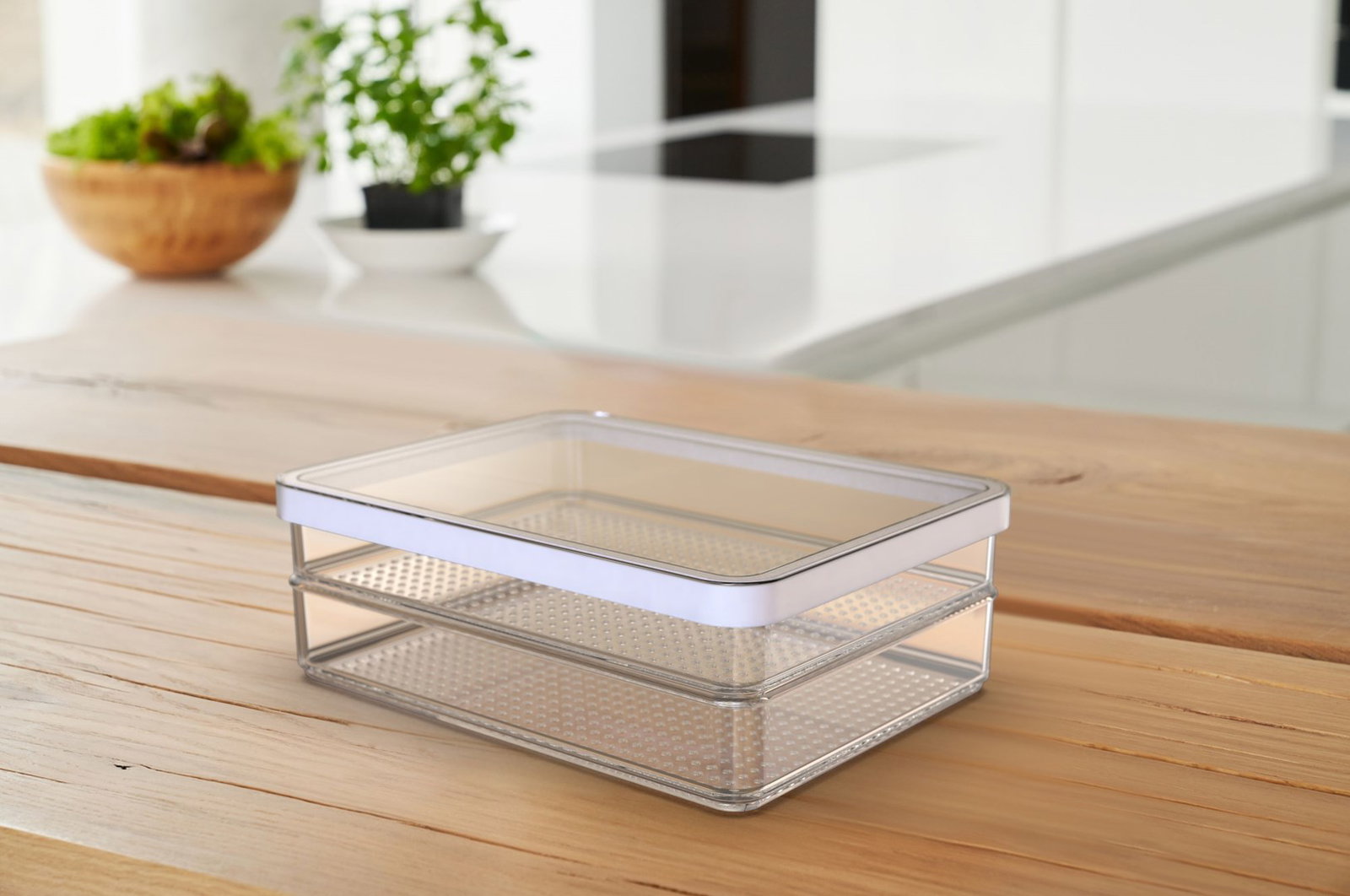ROTHO Rondo Loft - food storage container - 2 x 0,85l