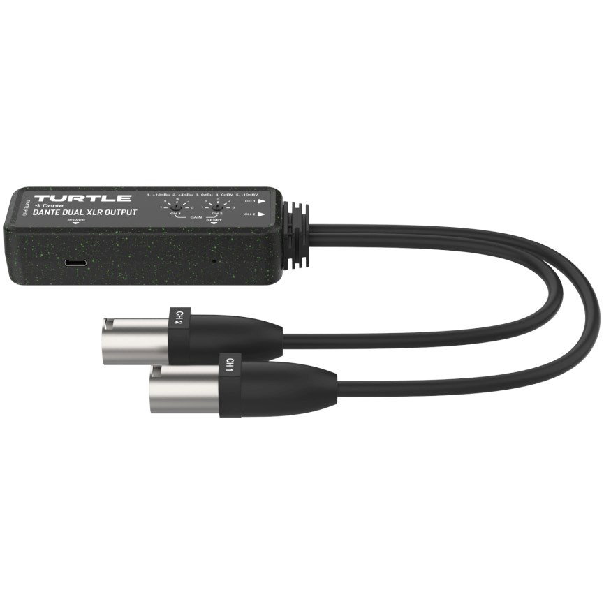 Turtle Dual XLR Output - two-channel Dante digital-to-analogue XLR adapter