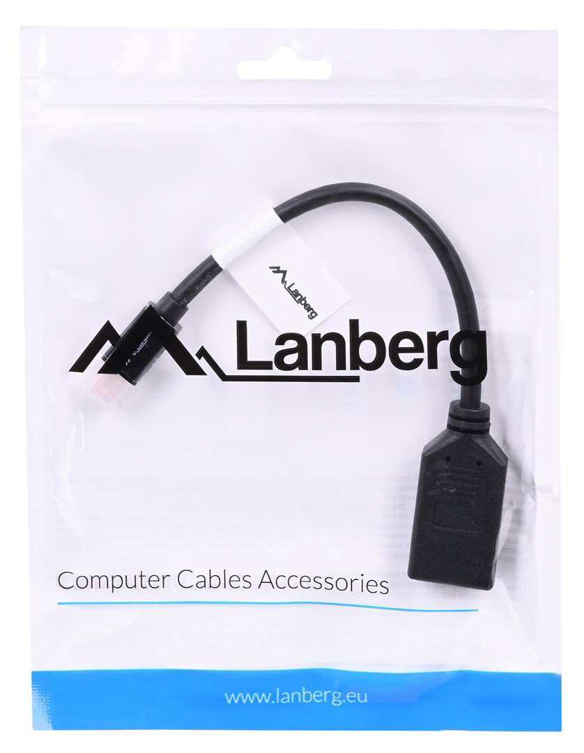Lanberg AD-0003-BK DisplayPort cable 0.12 m Mini DisplayPort Black