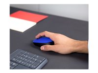 LOGITECH M171 Mouse right and left-handed wireless 2.4 GHz USB wireless receiver black blue