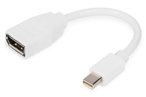 DISPLAY PORT ADAPTER CABLE MINI - DP -DVI (24+5) M/F 0.15M DP 1.1