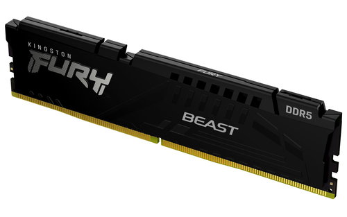 16GB DDR5-5600MT/S CL36 DIMM - EXPO FURY BEAST BLACK