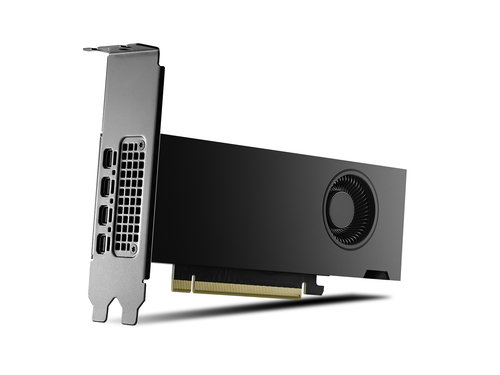 NVIDIA RTX 2000 ADA LOWPROFILE - OEM VERSION NO ACCESSORIES
